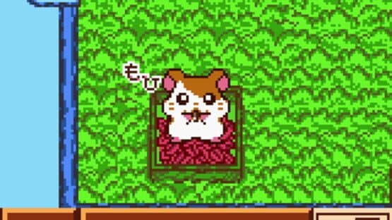 Tottoko Hamtaro: Tomodachi Daisakusen Dechu screenshot 4