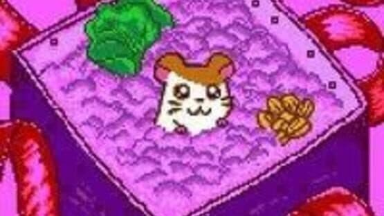 Tottoko Hamtaro: Tomodachi Daisakusen Dechu screenshot 5