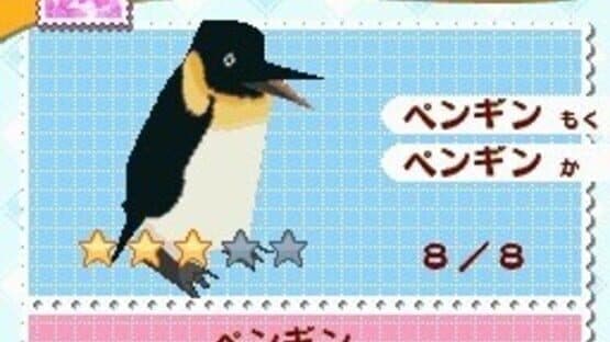 Minna no Doubutsuen screenshot 6