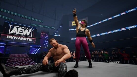 All Elite Wrestling: Fight Forever - Season Pass 3 screenshot 20