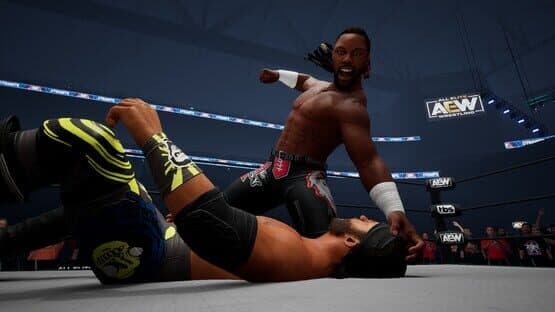 All Elite Wrestling: Fight Forever - Swerve to the Beach screenshot 8