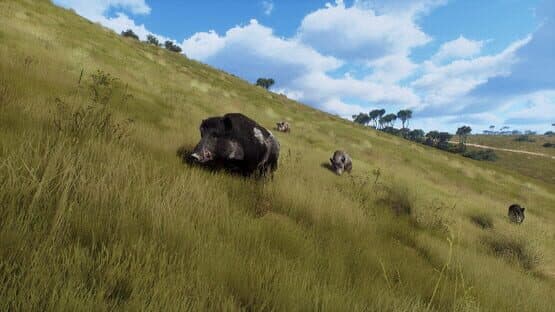 Way of the Hunter: Matariki Park screenshot 2