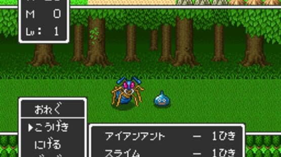 Dragon Quest I.II screenshot 4