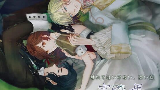 Yoiyo Mori no Hime screenshot 11