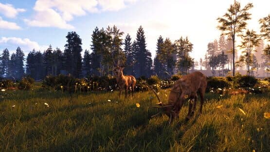 Windstorm: Start of a Great Friendship - Remastered screenshot 3