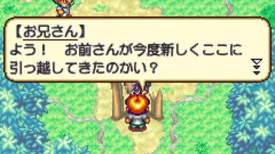 Hunter X Hunter: Minna Tomodachi Daisakusen!! screenshot 4