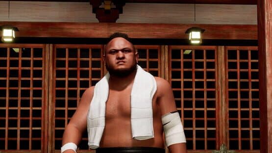 All Elite Wrestling: Fight Forever - World War Joe screenshot 1