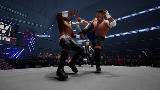 All Elite Wrestling: Fight Forever - World War Joe screenshot 3