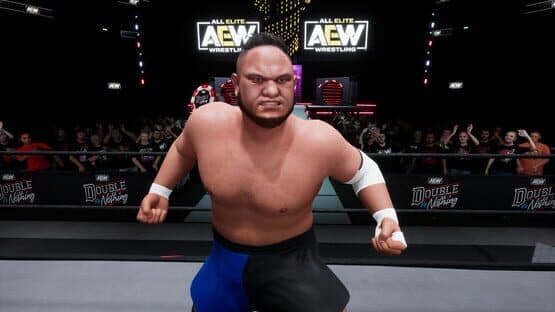 All Elite Wrestling: Fight Forever - World War Joe screenshot 5