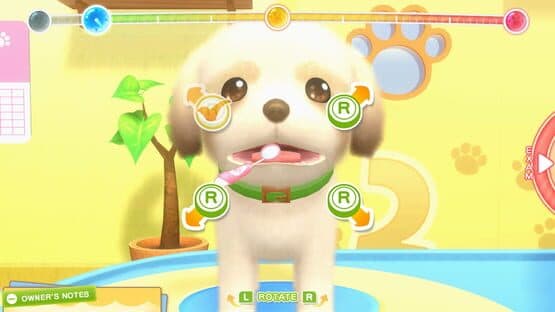 Pups & Purrs Animal Hospital and Fun! Fun! Animal Park screenshot 4