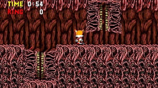 Sonic PC Port Remake screenshot 3