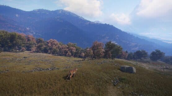 TheHunter: Call of the Wild - Sundarpatan Nepal Hunting Reserve screenshot 4