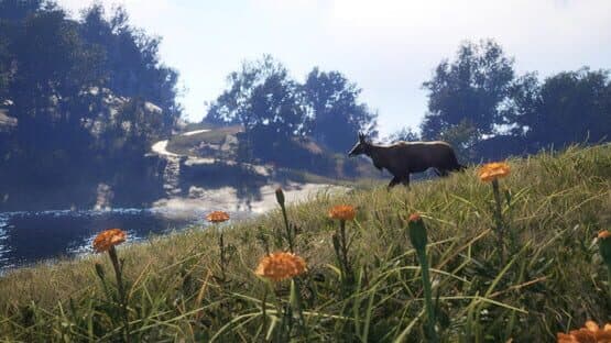 TheHunter: Call of the Wild - Sundarpatan Nepal Hunting Reserve screenshot 15