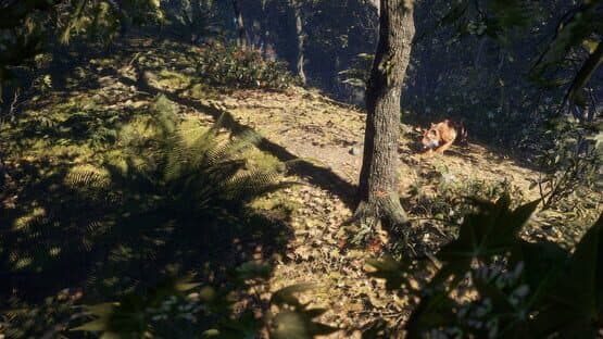 TheHunter: Call of the Wild - Sundarpatan Nepal Hunting Reserve screenshot 10