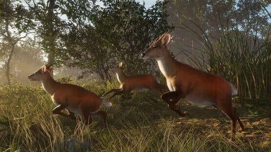 TheHunter: Call of the Wild - Sundarpatan Nepal Hunting Reserve screenshot 11