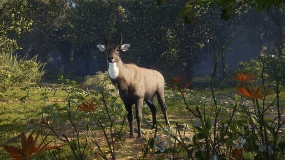TheHunter: Call of the Wild - Sundarpatan Nepal Hunting Reserve screenshot 7
