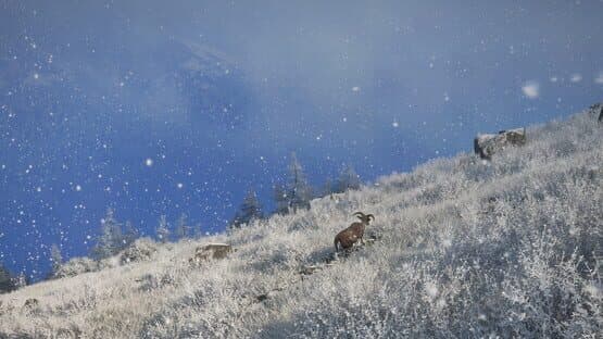 TheHunter: Call of the Wild - Sundarpatan Nepal Hunting Reserve screenshot 9