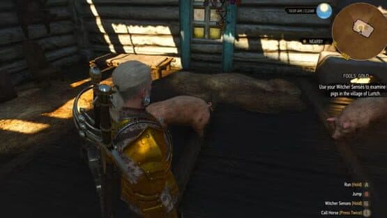 The Witcher 3: Wild Hunt - New Quest 'Fool's Gold' screenshot 3