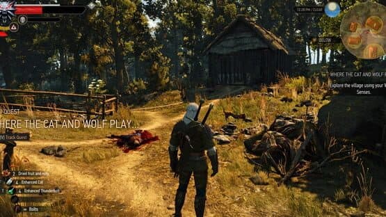 The Witcher 3: Wild Hunt - New Quest 'Where the Cat and Wolf Play...' screenshot 2