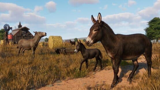 Planet Zoo: Barnyard Animal Pack screenshot 4