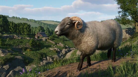 Planet Zoo: Barnyard Animal Pack screenshot 7