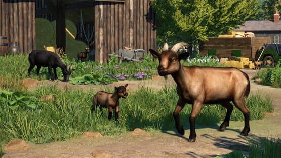 Planet Zoo: Barnyard Animal Pack screenshot 10