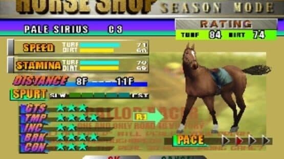 Gallop Racer screenshot 6