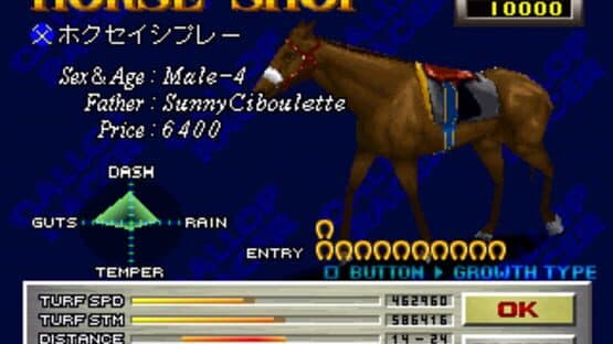 Gallop Racer screenshot 4