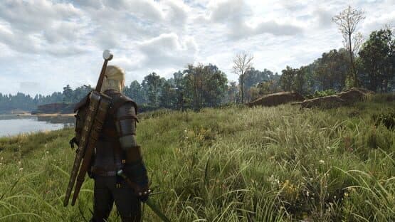 The Witcher 3: Wild Hunt screenshot 11