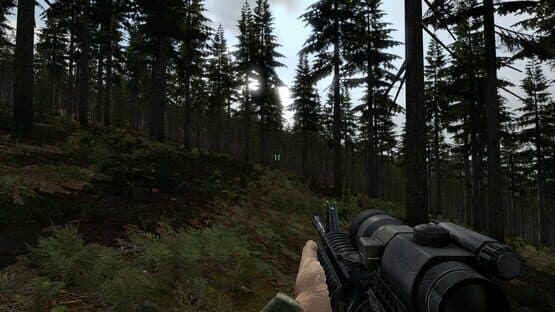 Arma 2 screenshot 6