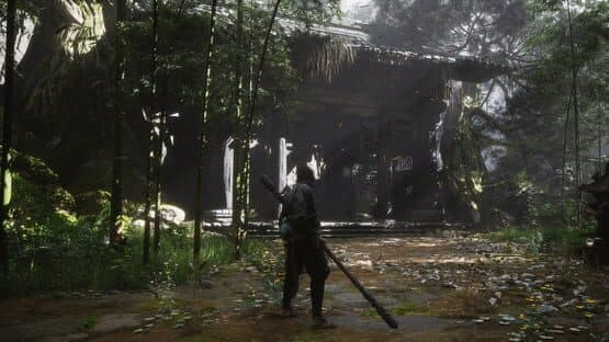 Black Myth: Wukong screenshot 7