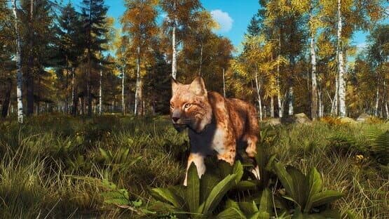 Way of the Hunter: Lintukoto Reserve screenshot 3