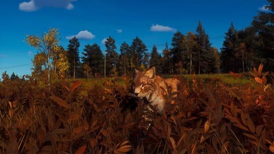 Way of the Hunter: Lintukoto Reserve screenshot 13