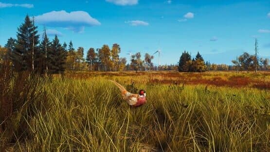 Way of the Hunter: Lintukoto Reserve screenshot 14