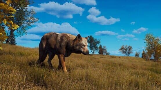 Way of the Hunter: Lintukoto Reserve screenshot 16