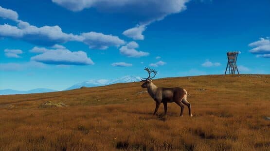 Way of the Hunter: Lintukoto Reserve screenshot 17