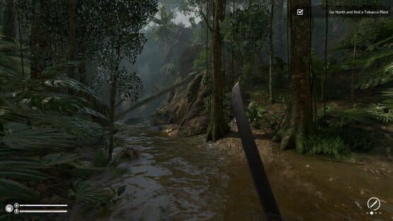 Green Hell screenshot 9