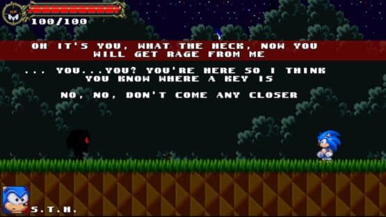 Sonic: The Murdering Insanity screenshot 3