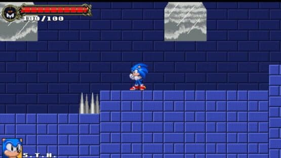 Sonic: The Murdering Insanity screenshot 4