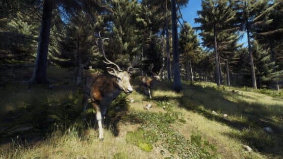Way of the Hunter: Wild Expeditions screenshot 6