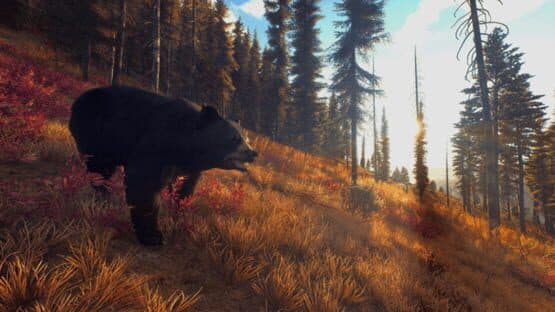 Way of the Hunter: Wild Expeditions screenshot 12