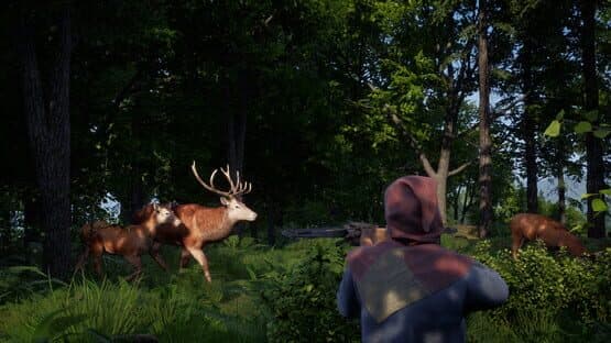 Medieval Pathfinder screenshot 14