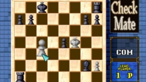 Check Mate screenshot 2