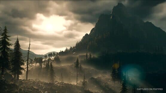 Days Gone: Broken Road screenshot 10