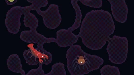 Shrew screenshot 3