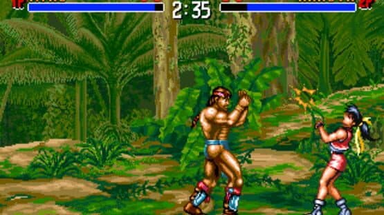 Tao Taido screenshot 3