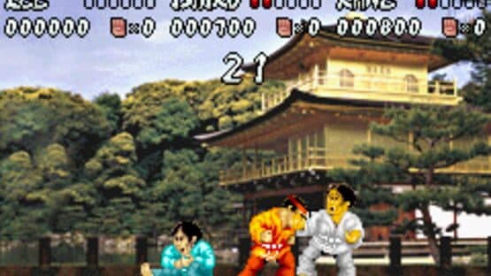 International Karate Advanced screenshot 6
