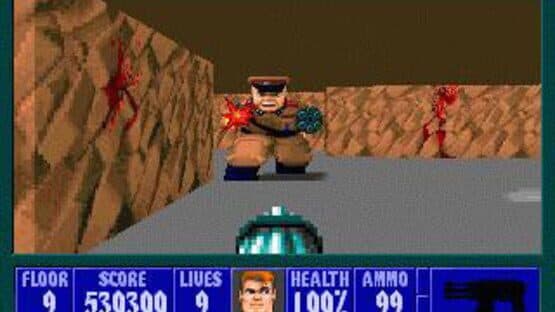 Wolfenstein 3D screenshot 3