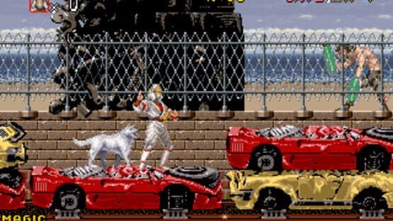 Shadow Dancer screenshot 3