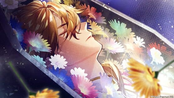 Kotou no Majo to Houtou Ouji screenshot 5